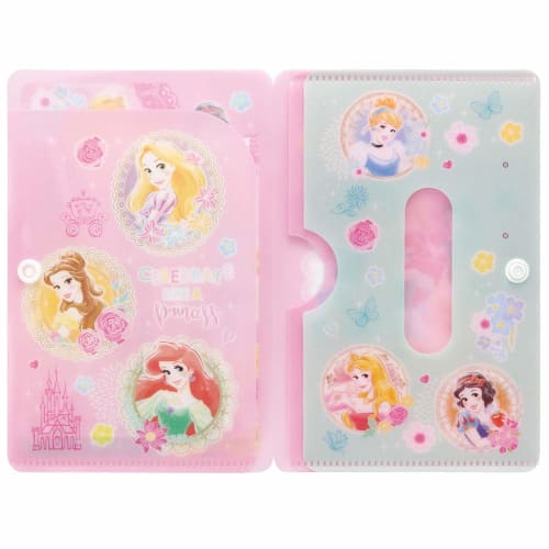 Skater Mask Case Small Size Accessories Card Pocket Tissue Storage Princess Disney MKC2-A
