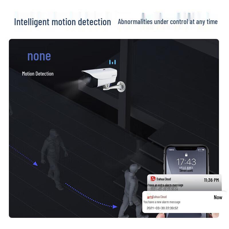 Dahua 4MP PoE IP Surveillance Camera with Night Vision