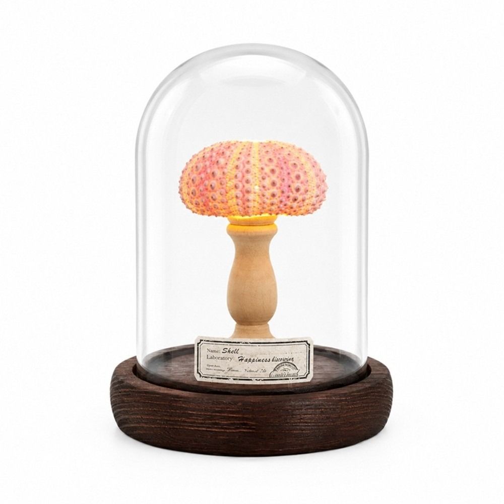 Flicker Free Shell Lamp Soft Lighting Mini LED Lamp Vintage Style Desk Lamp Holiday Gift