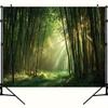 2D Bamboo Forest Backdrop, Green Sunlight Background for Travel Themed Photoshoot