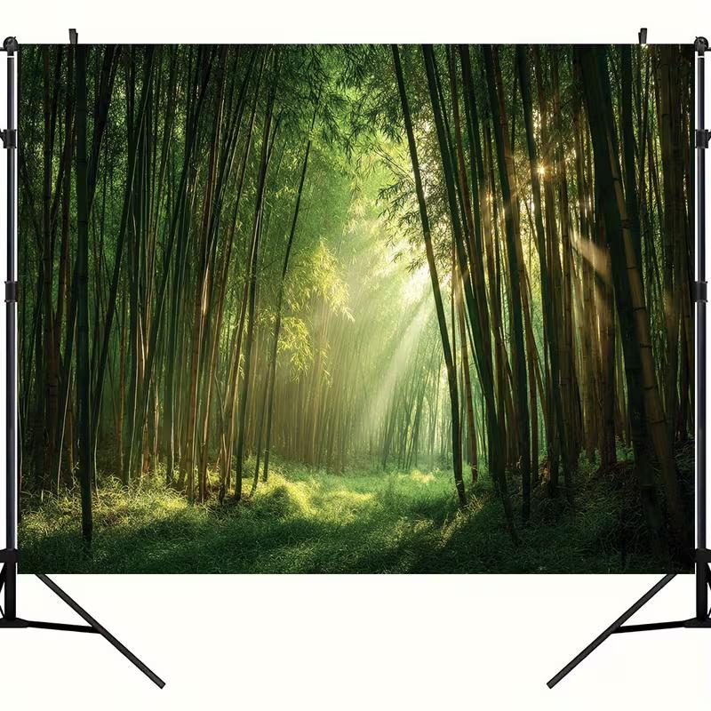 2D Bamboo Forest Backdrop, Green Sunlight Background for Travel Themed Photoshoot
