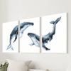 3pcs/set Whale Art Oil Painting Canvas with Wood Frame Draw Wall Decor Home Room Decorations