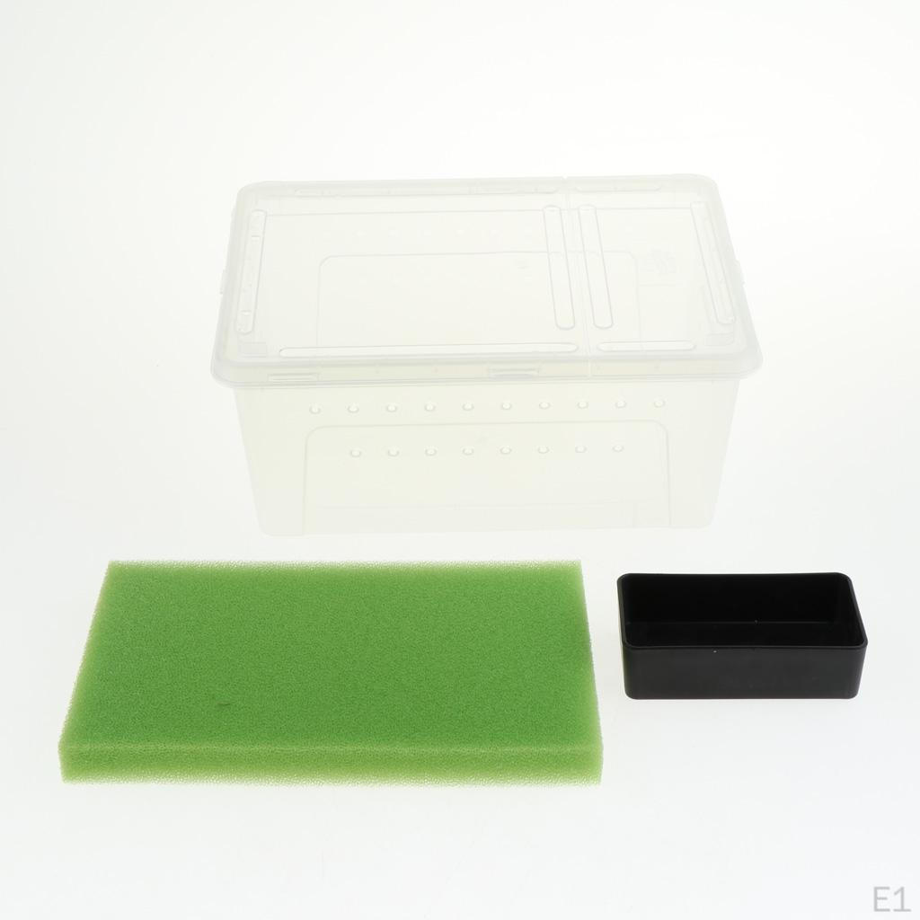 Pet Reptile Spider Breeding Box Transport Case Feeding Hatching Tank