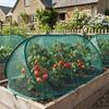 Constructions de jardin – Serres de jardin