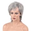 Parrucche Sintetiche Corte da Donna Parrucca Grigio Argento con Frangia per Donne Parrucca Liscia Festa Cosplay Parrucca Quotidiana Parrucche in Fibra Termoresistente