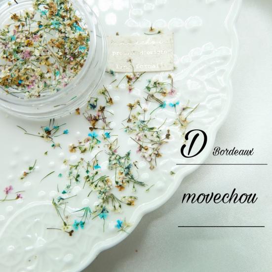 Nail Art Flower Decoration Multiple Color Nail Beauty UV Glue Filler Nail Charm Dried Flower Decoration Nail Supplies