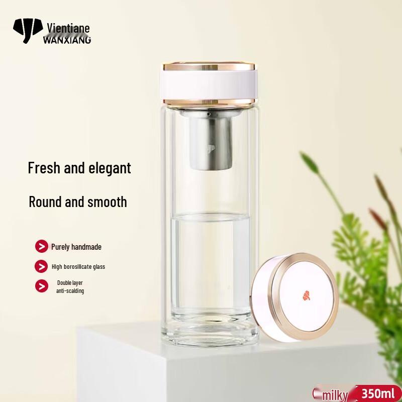 Portable Double-Wall Tea Glass with Infuser