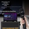 MALONE GT-809S Portable Speaker System (CN Version)