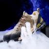 Men's Safety Shoes, Anti Smashing And Anti Stabbing Work Shoes, Lightweight And Breathable Safety Boots, Tactical Boots