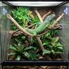Reptiles Animal Tanks Accessory Climbing Rope Toy For Snake Climbing And Exercise Enclosure Toy for Reptiles Enrichment