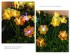 Stainless Steel LED Solar Courtyard Light - Waterproof Outdoor Fiber Optic Flower Ground Plug for Villa Garden Atmosphere