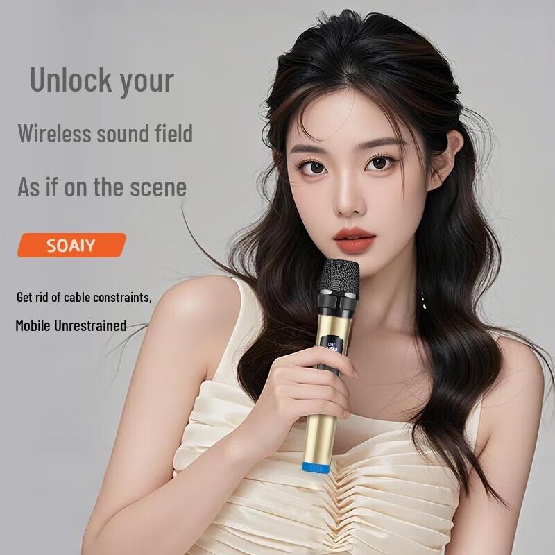 Suoai 12-inch Portable Wooden Bluetooth Karaoke Trolley Speaker