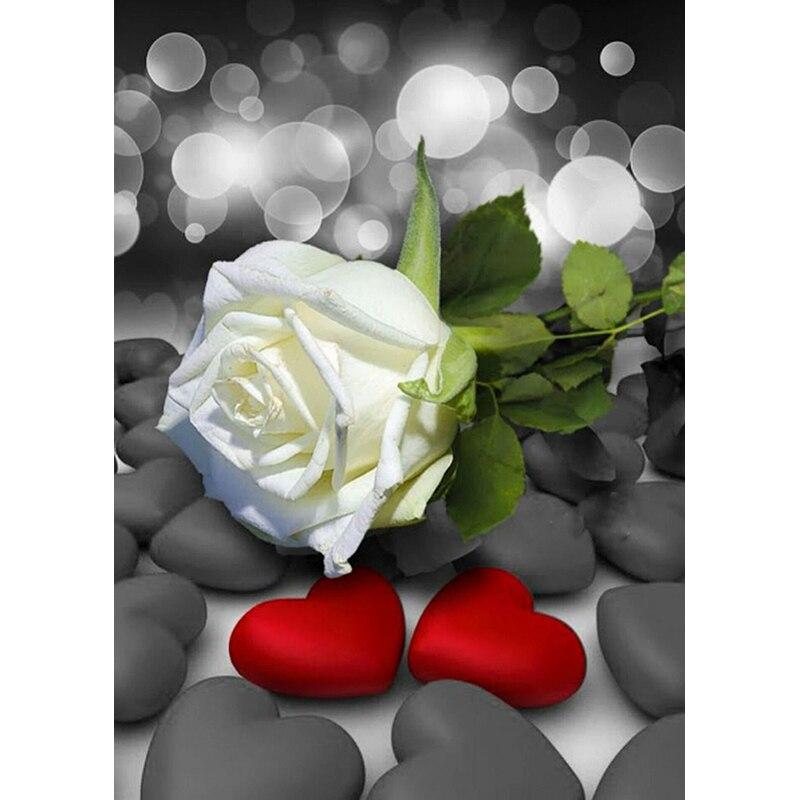 5D DIY Diamond Painting Orchid Scenery Flower Pictures Diamond Embroidery Full Round Rhinestones Crafts Home Decor Gift