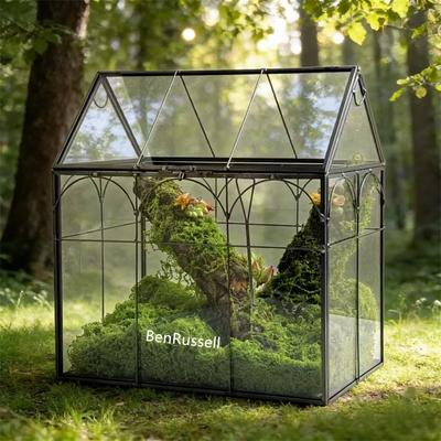 Micro Moss Rainforest Landscape Glass Terrarium Miniature Garden Moss Ecosystem Desktop Greenhouse Indoor Home Table Vase