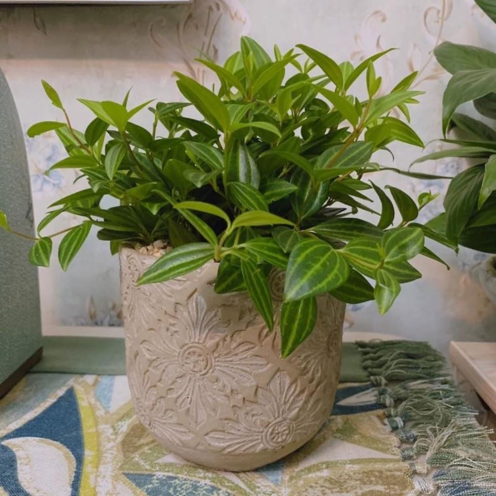 

Уличные ящики для растений Американский ретро Керамический цветочный горшок Цементный рельефный узор Горшечное растение Суккулент Цветочная ваза Домашнее украшение для рабочего стола