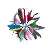 Set Giocattoli Stimolanti per Gatti - Giocattoli Interattivi per Animali Domestici, Disponibili in Quantità Sufficiente con Sconto