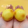 Simulate Potato Shaped Squeezable Silicone Decoration With Slow Rebound Soft Decompression Relief Mud Texture Desktop Ornament