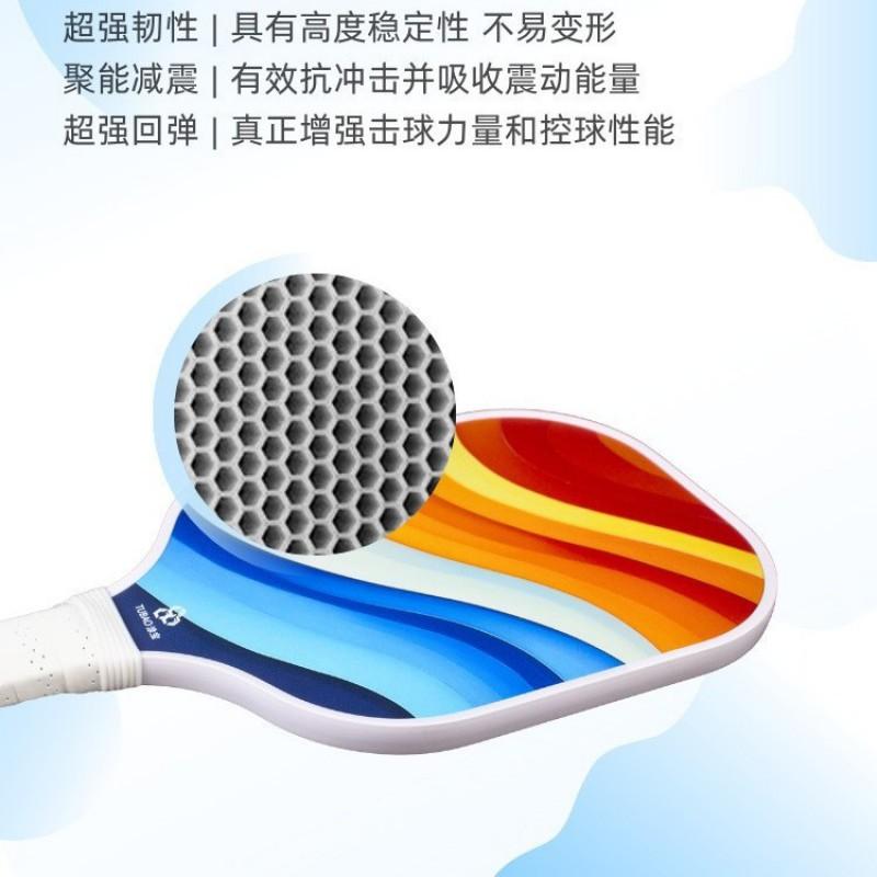 Glass Fiber Pickleball Paddle Set Beginners Recreational Players 2 Paddles 4 Balls Carry Bag Colorful