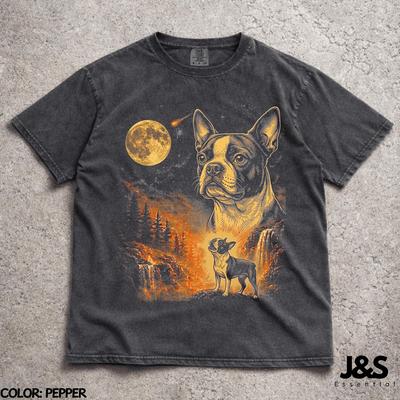 Üst giysisi – T-shirtler
