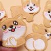 10Pcs Dog Embroidery Iron On Patches Adhesive Embroidery Appliques For Clothing Jackets Bags Hat Decoration and Sewing
