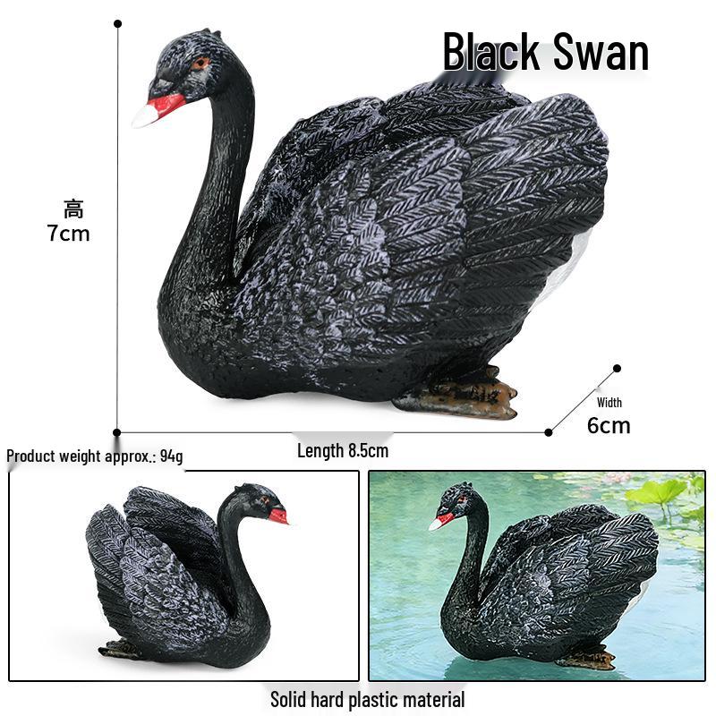 Realistic Warty-Nosed Swan Heart Model: Children's Cognitive Toy & Zoo Decoration