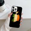 Ireland Irish Flag Phone Case For iPhone 17 Air 16 16e 15 14 plus 11 12 13 pro max Shell Cover coque