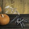 1Pcs Artificial Spider Halloween Scary Props for Party Bar Ktv Halloween Decoration Simulated Spider Model Toy Props