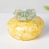 Natural Crystal Resin Decor Ornaments With Plant Shape For Home Living Room Decor