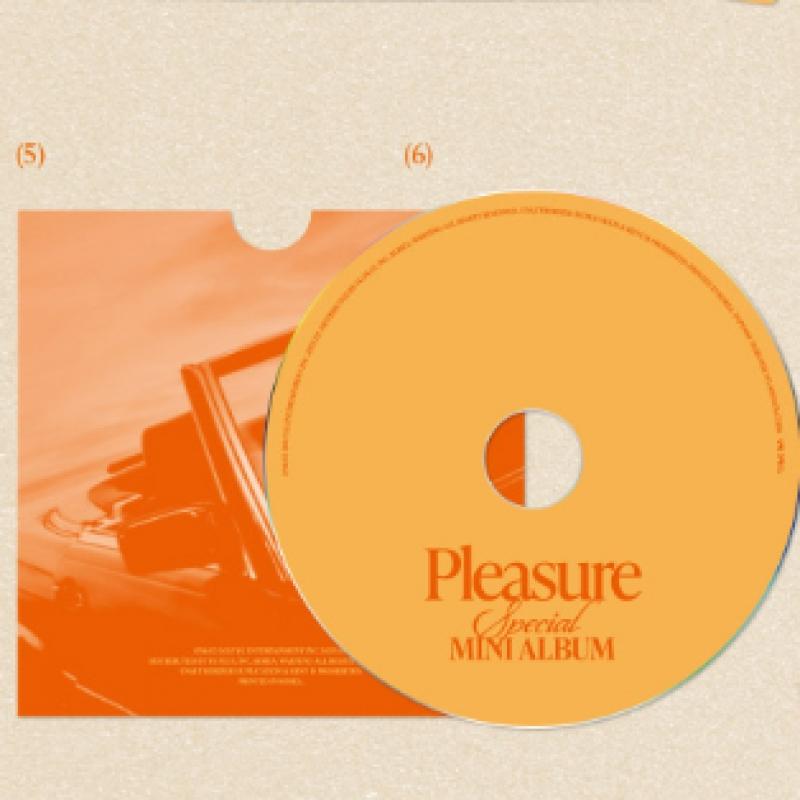 Treasure   Pleasure   Special Mini Album