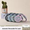Köpek – Köpek Tasmaları ve Tasma Kayışları