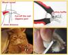1 Pc Professional Pet Cat And Dog Nail Clippers Ergonomic Stainless Steel Grooming Scissors Pet Dog Claw Nail Repair Scissors