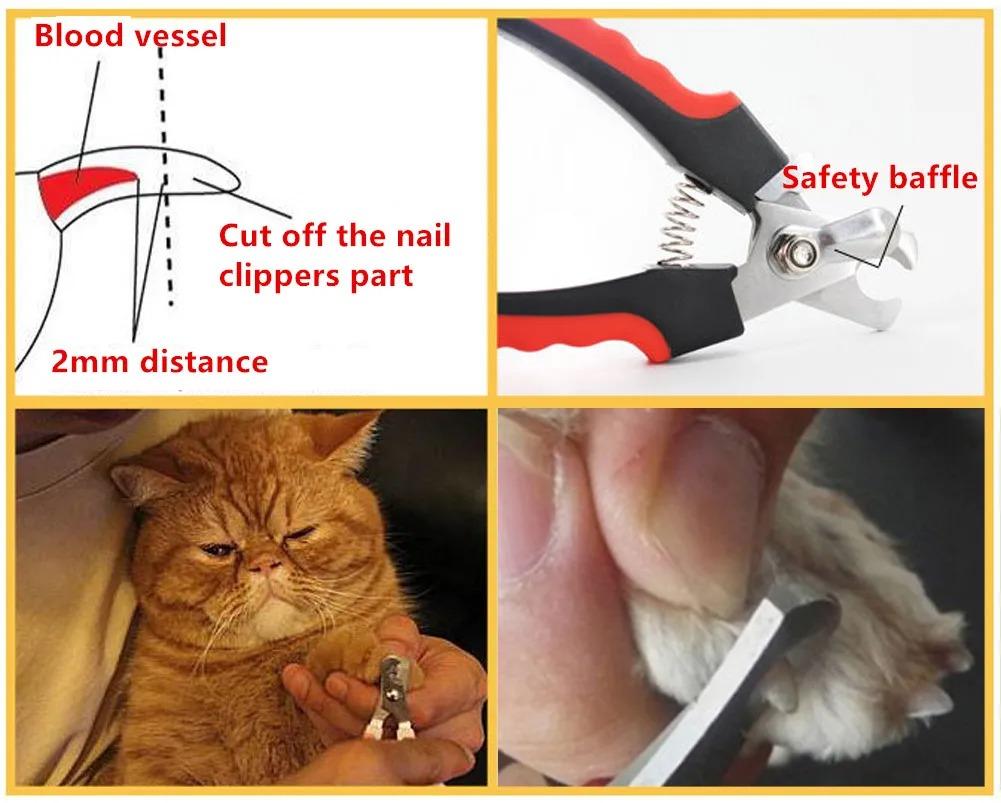 1 Pc Professional Pet Cat And Dog Nail Clippers Ergonomic Stainless Steel Grooming Scissors Pet Dog Claw Nail Repair Scissors
