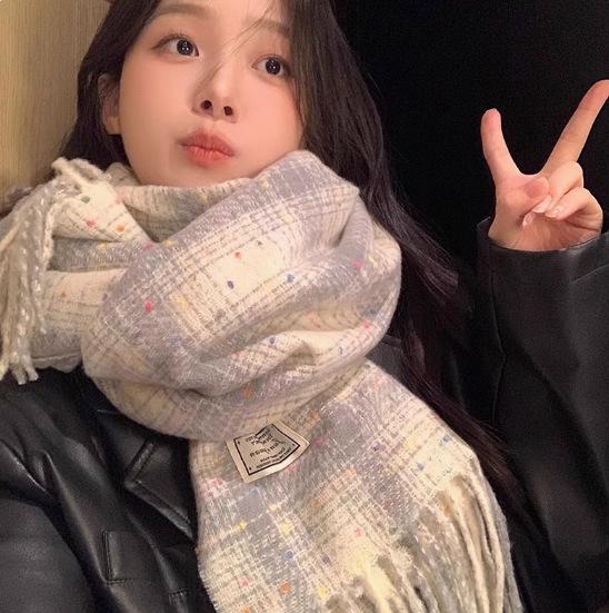 Korean imitation cashmere plaid scarf winter women's new atmosphere couple versatile warm scarf shawl winter