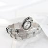 Reloj de cuarzo para mujer, relojes de serpiente, pulsera de acero inoxidable, reloj de pulsera, regalos de joyería