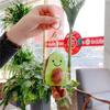 12cm Cute Avocado Plush Toy Kawaii Avocado Plush Keychain Cartoon Avocado Fruit Stuffed Doll Backpack Pendant Kids Birthday Gift