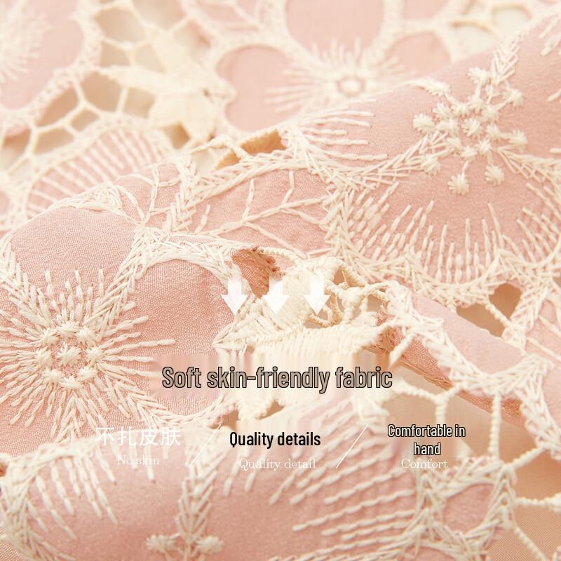 Demana French Style Lace Embroidered A-Line Dress