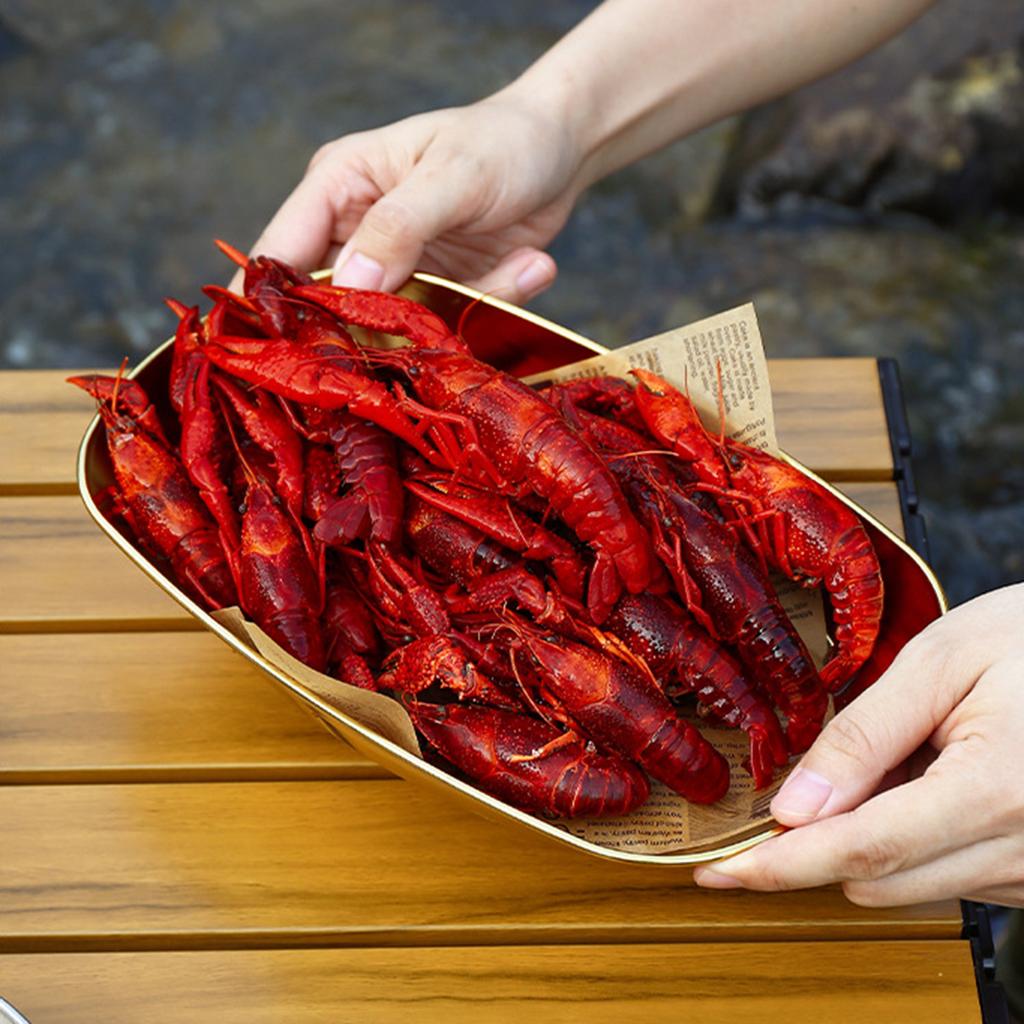 Stainless Steel Serving Plates 10 Inches Dinner Dishes Metal Camping Plate for BBQ Snack Golden