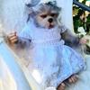 Unpainting Realistic Doll Kits 18 Inches DIY Blank Newborn Elf Mold Unfinished Newborn Dolls Anime Hand Making Doll Set