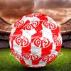 05 1FSV Mainz 05 Größe 5 Fußball, Standard-Spielball für Sportspiele und Mannschaftstraining, Ideales Geschenk für Fußballfans