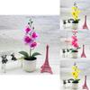 Phalaenopsis Artificial Potted Flower With Durable Material For Home Office And Gift Use