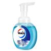 Walch Antiseptic Foaming Hand Wash