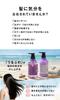 SUPERFOOD LAB Biotin Triple Moist Treatment 480g Triple Moisturizing Botanical Serum Ingredients Highly Plumeria Verbena Scent + / Formulated, &