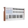 WORLDE TUNA MINI Ultra-Portable 25-Key USB MIDI Keyboard Controller 8 RGB Backlit Trigger Pads with