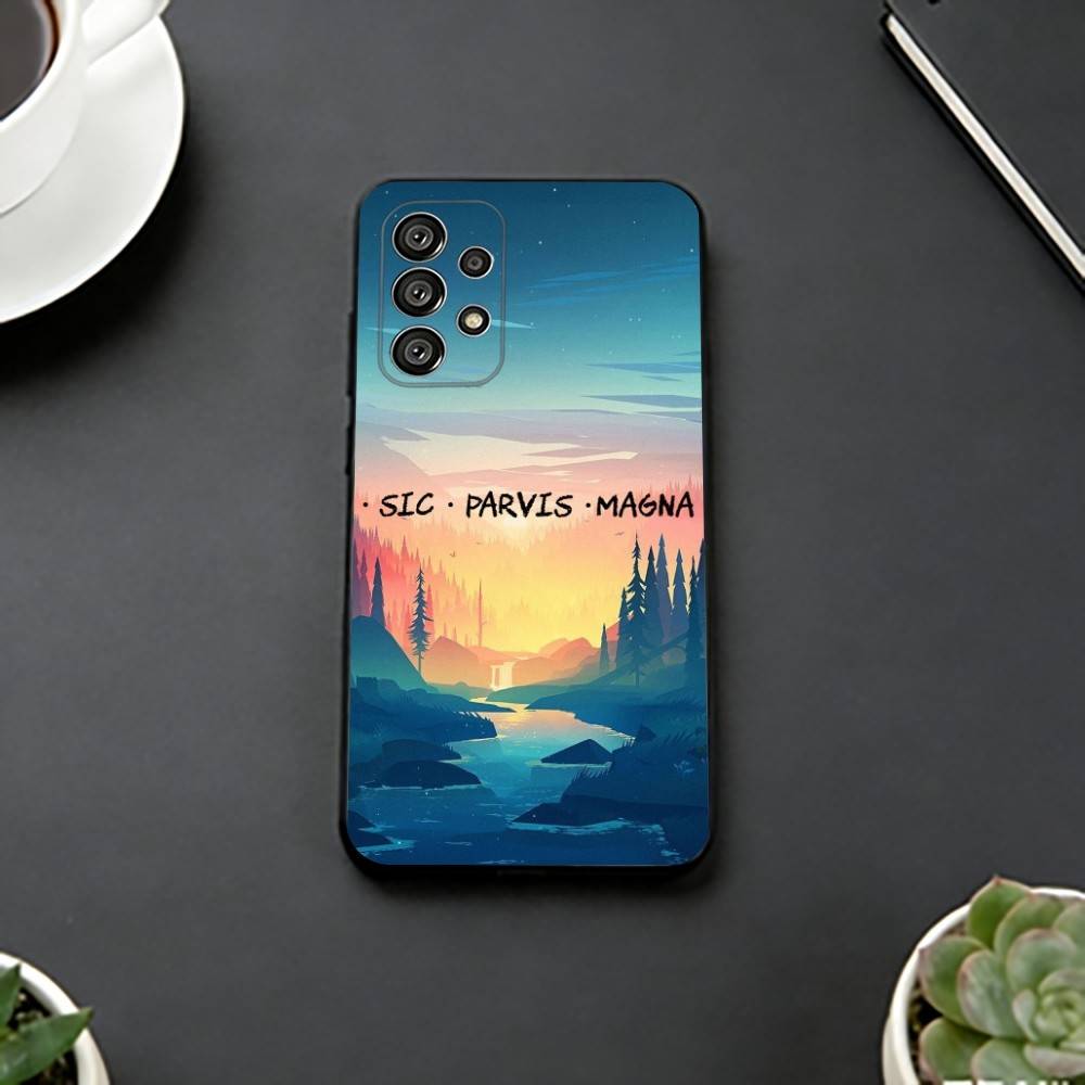 

S-Sic Parvis Magna Uncharted Phone Case For Samsung S25,S24,S21,S22,S23,S30,Ultra,S20,Plus,Fe,Soft Silicone Black Cover Samsung S20plus5G