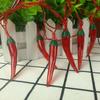 Chili Pepper Light LED Light Festive Battery-operated Different Light Modes High Brightness New Year Decoration Light String