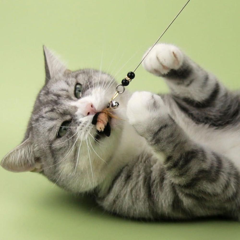 Simulation Insektenformen Feder Katzenspielzeug Ersatzkopf Kätzchen Katze Teaser Haustierspielzeug