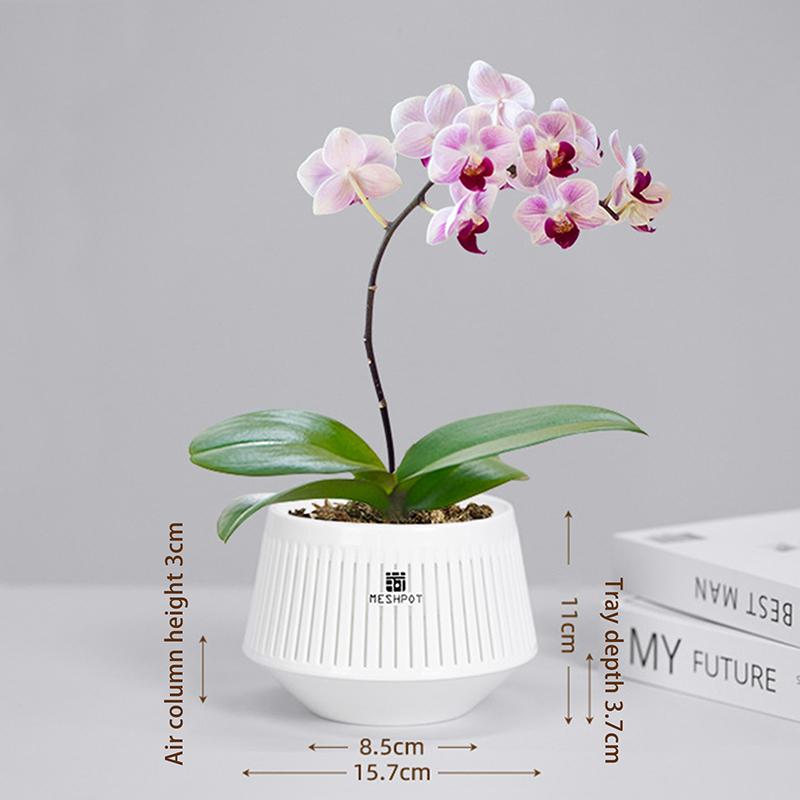 

Сетчатые горшки для орхидей с отверстиями, цветочный горшок для пересадки, пластиковая кашпо для комнатных/уличных растений, домашний декоративный горшок для аэрофитов белый