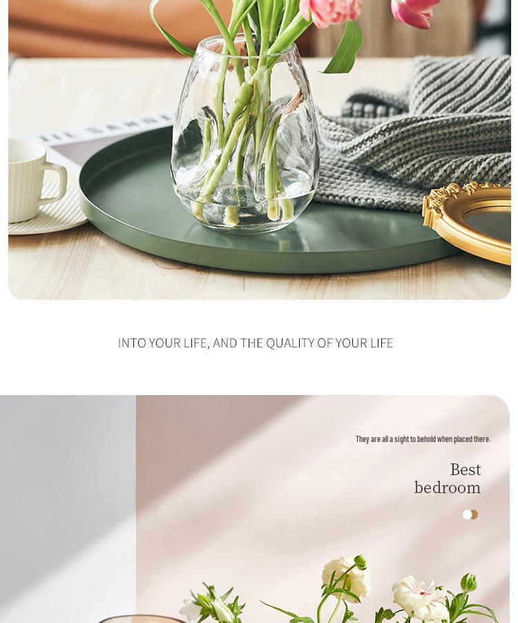 Nordic Style Irregular Glass Vase for Desktop Hydroponics