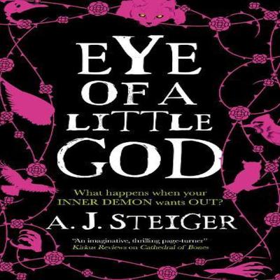 Eye of a Little God by A.J. Steiger Paperback Book 9781448314324