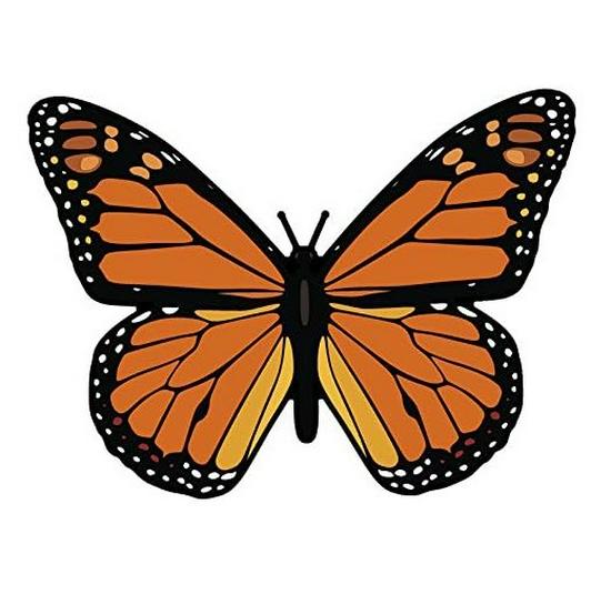 

Виниловая наклейка «Бабочка» - Автомобиль, Ноутбук, Наклейка на бампер